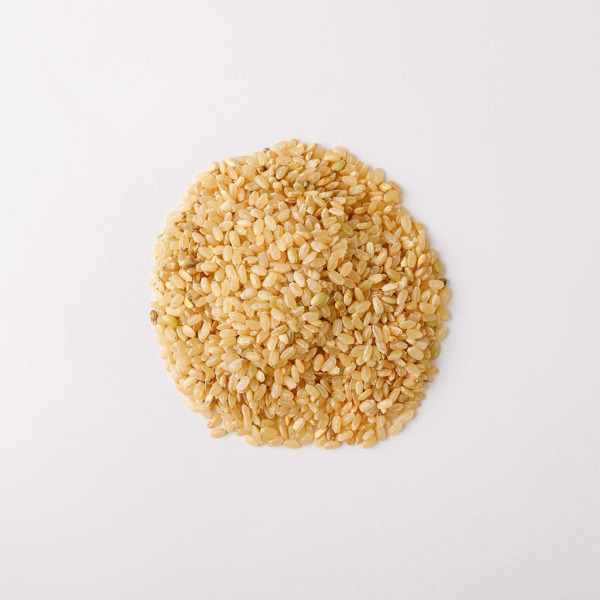 無農薬　目黒の合鴨米　玄米（１合）